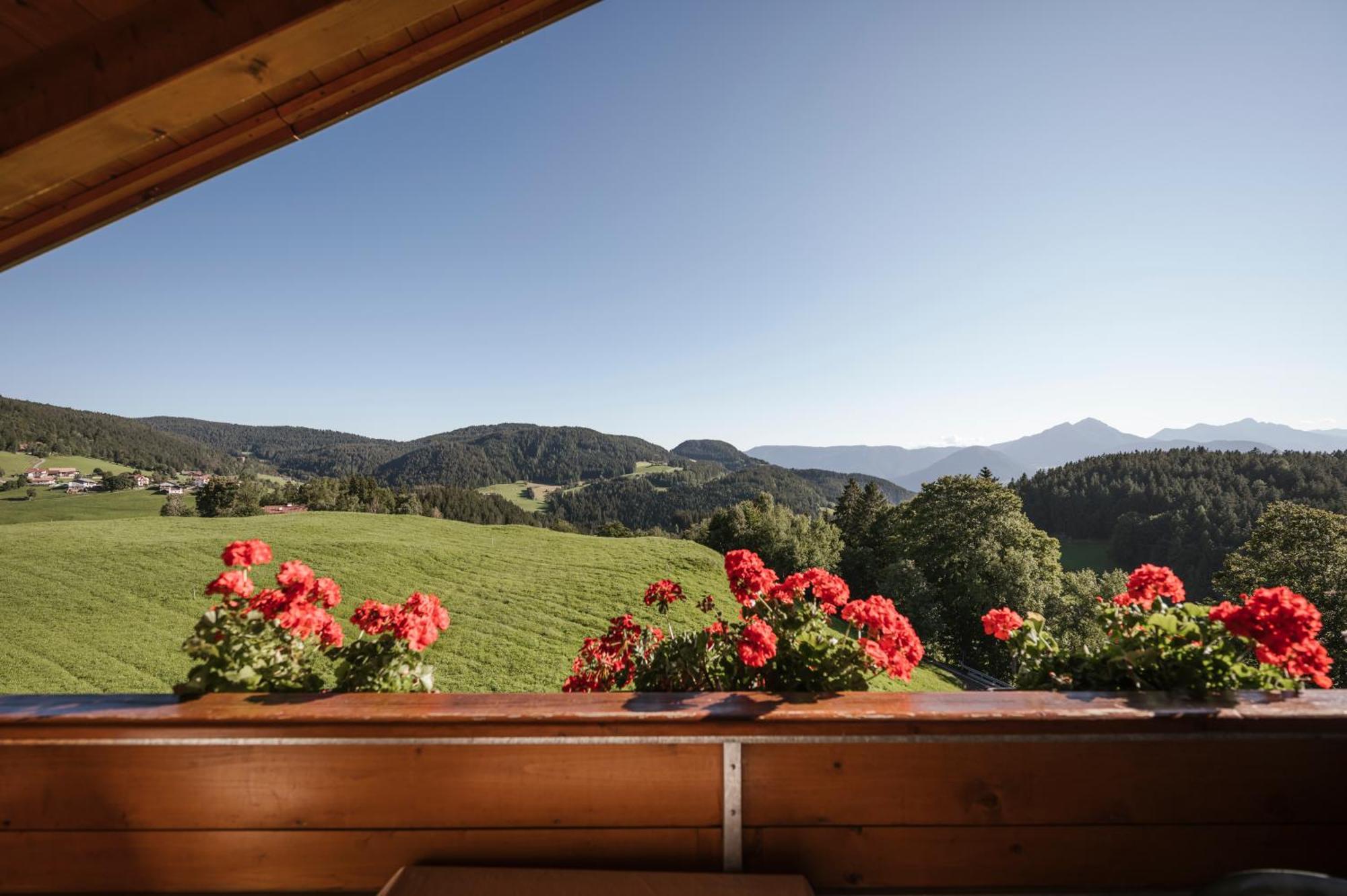 Apartamento Platterhof